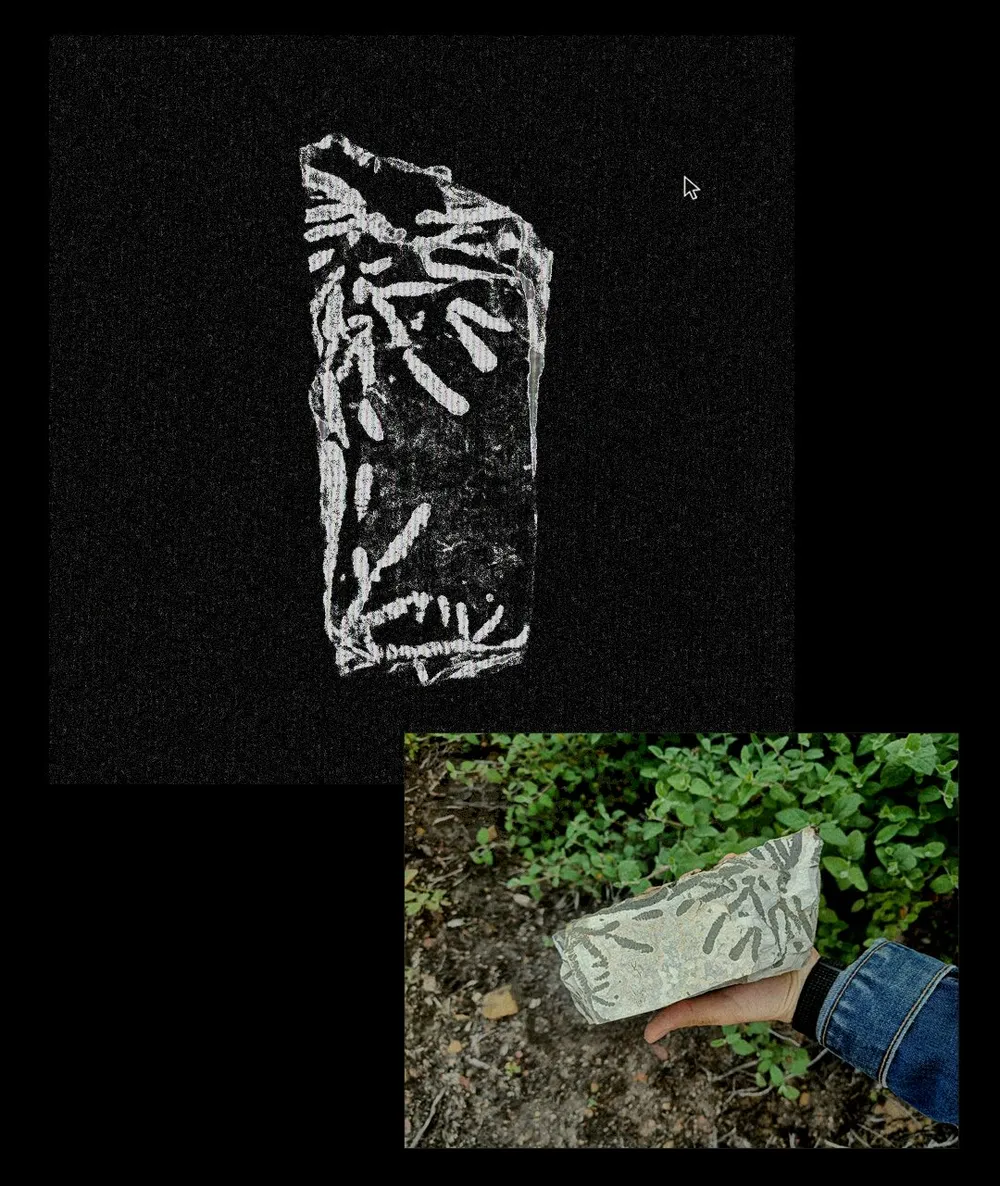 2024: a Look Back (4)