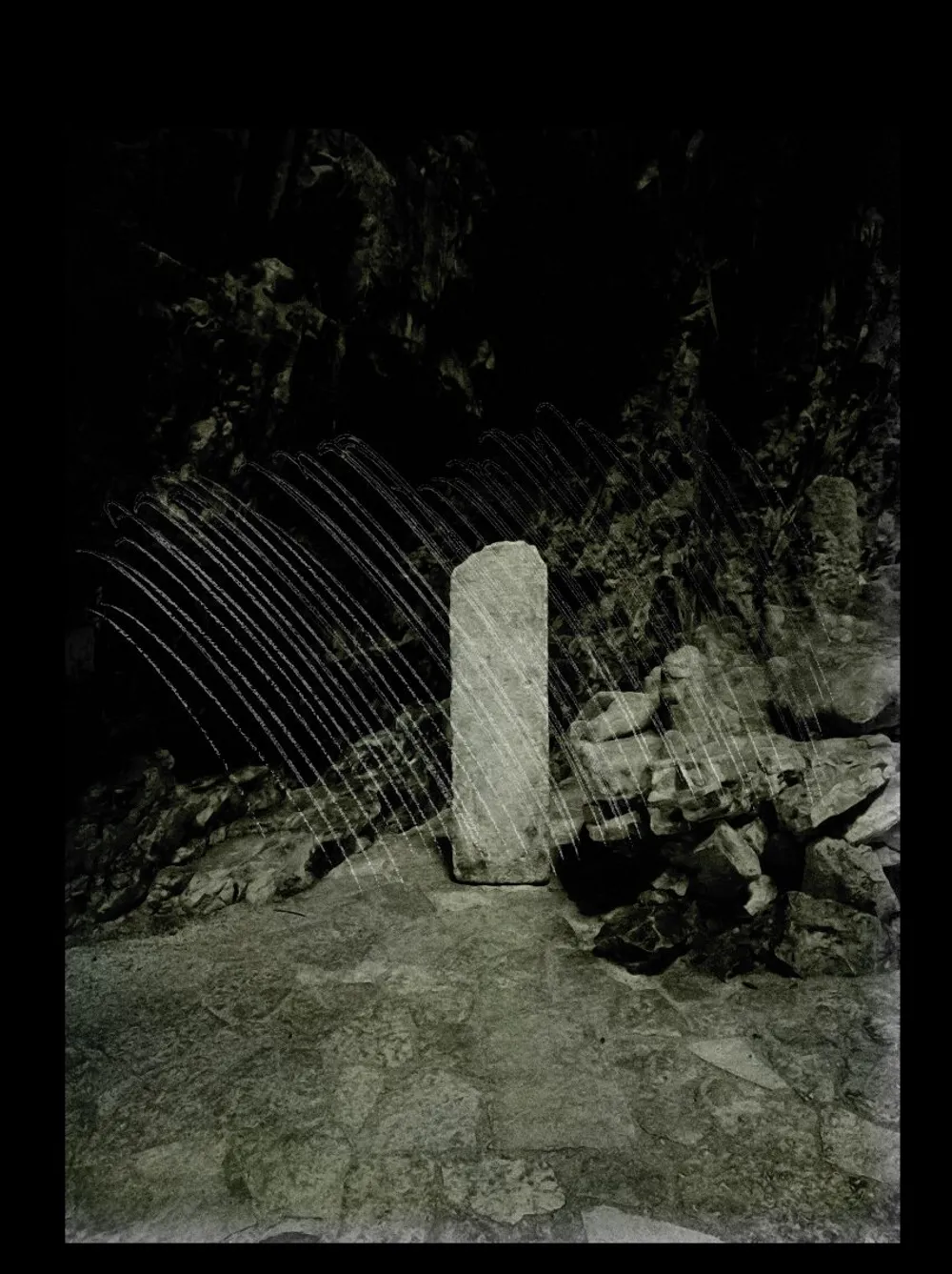 2024: a Look Back (6)